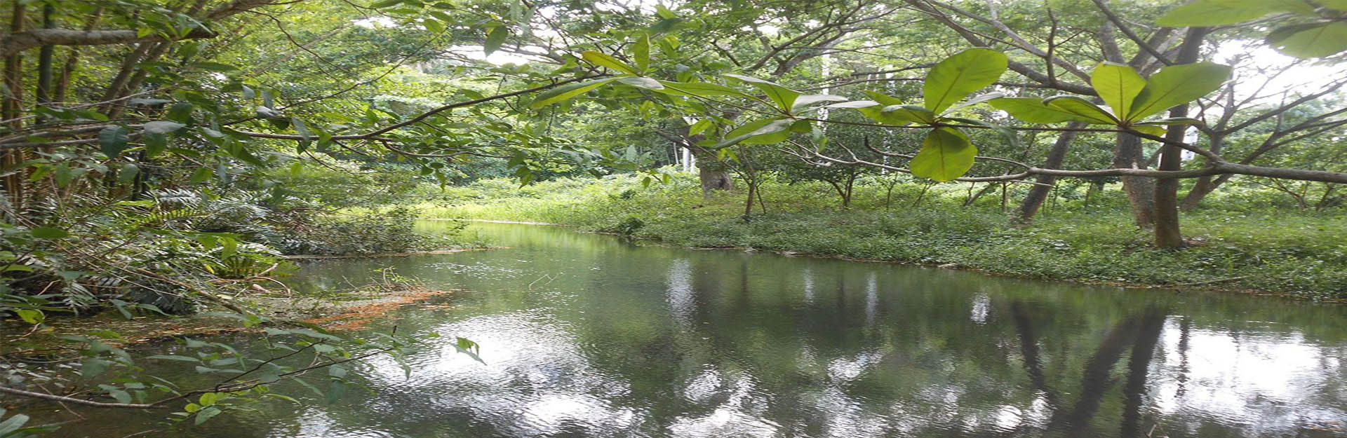 Река Mayabeque, CubaTravel